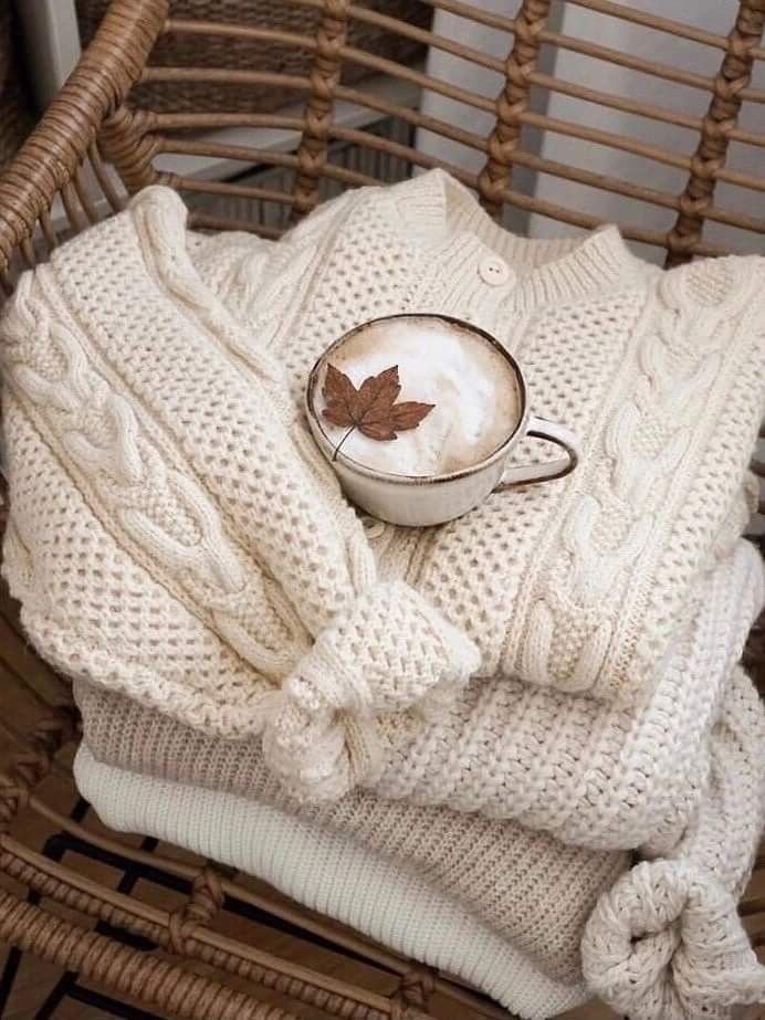 Women's Sweaters & Cardigans